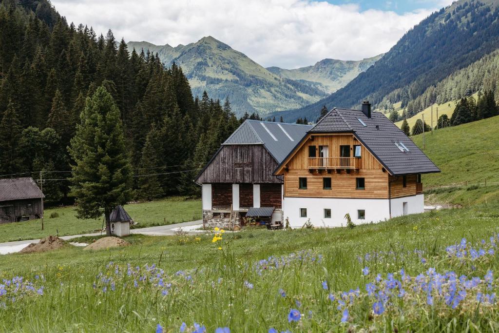a house in a field with mountains in the background at Das Detox Almhaus in Pusterwald