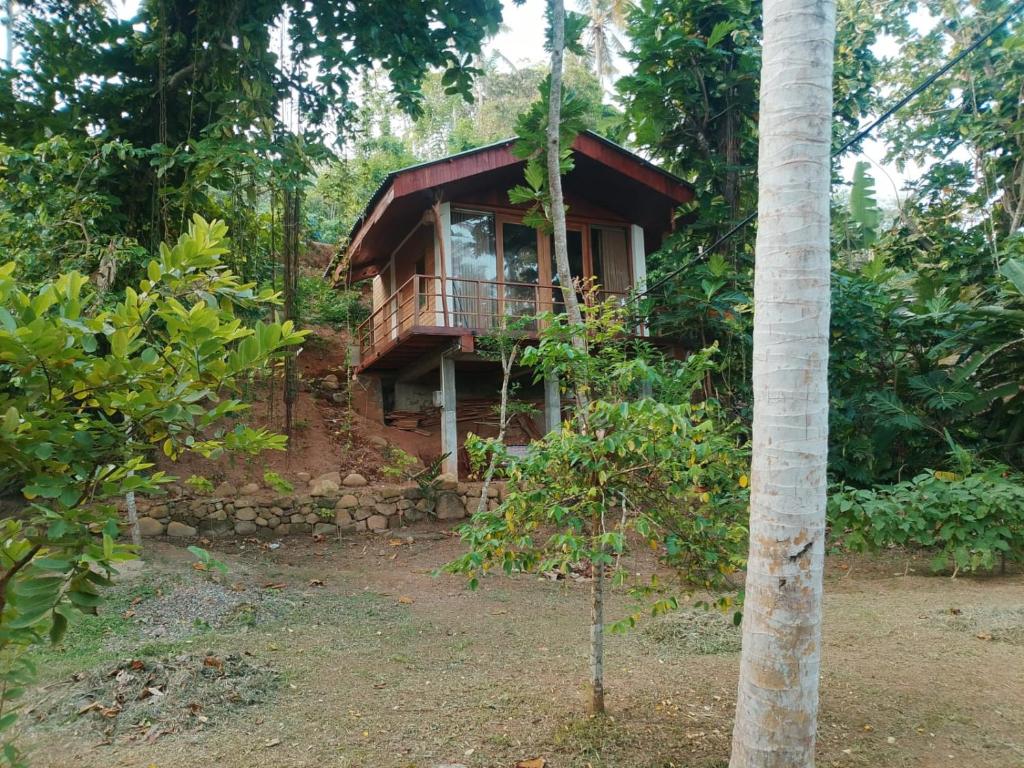 a cabin in the middle of the forest at Mukalawatta Villa in Matara