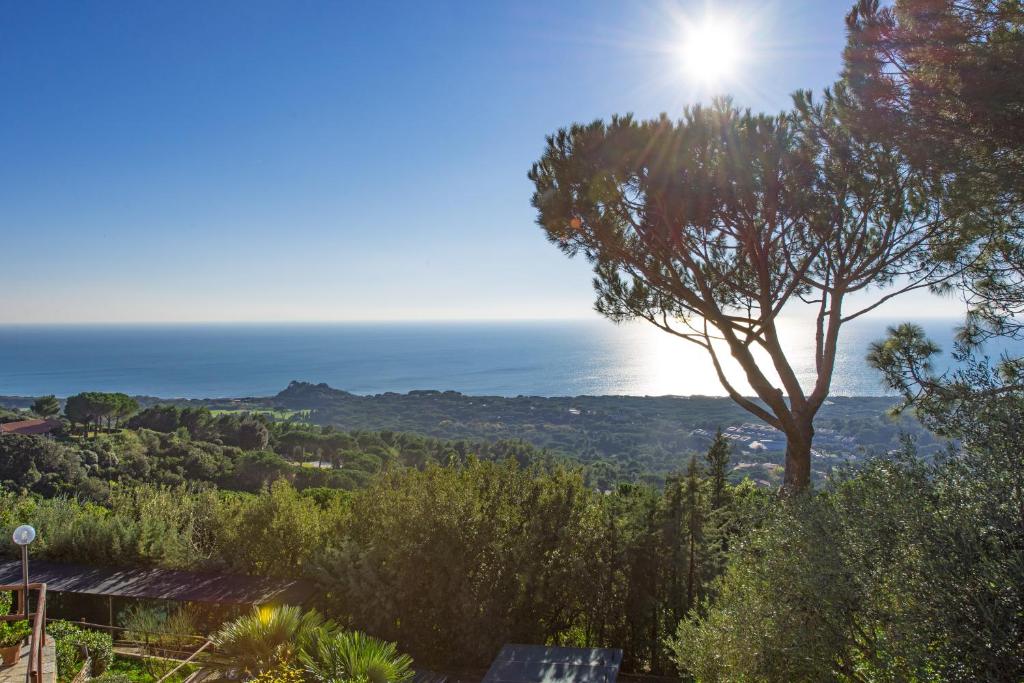 a tree on a hill with the ocean in the background at Vista Mare by PosarelliVillas in Castiglione della Pescaia