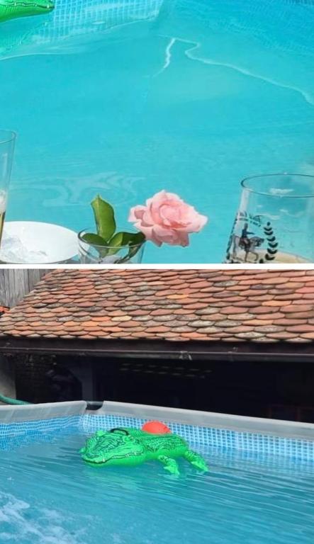 a pink flower sitting on a table in a swimming pool at Florian's Haus in Cisnădioara
