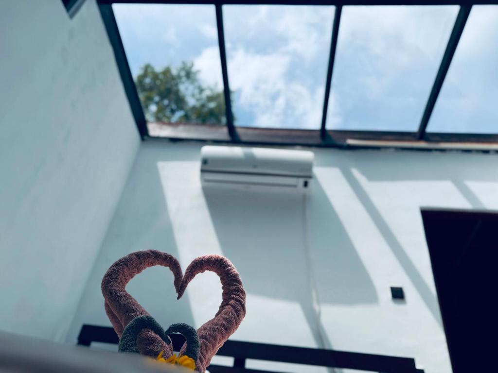 a pair of snakes forming a heart on a boat at Glass Roof Southern Edge Cabanas in Tangalle