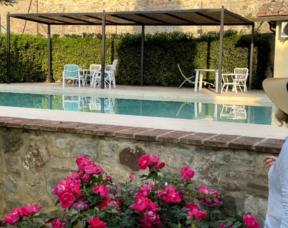 a swimming pool with chairs and tables and pink roses at Appartamento Monache in Lucignano