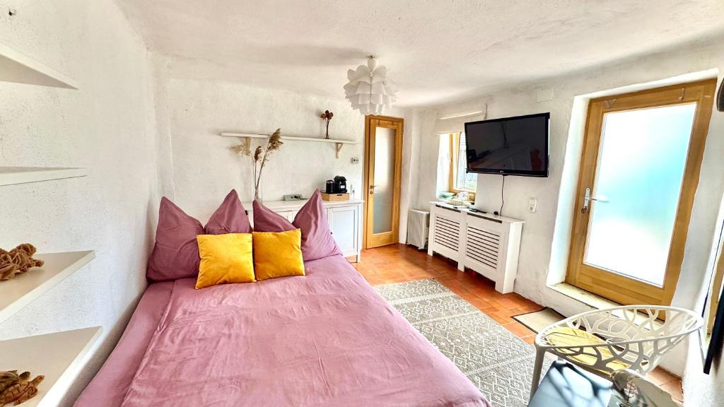 a large pink bed in a room with a tv at Ferienhaus am Land in Mogersdorf
