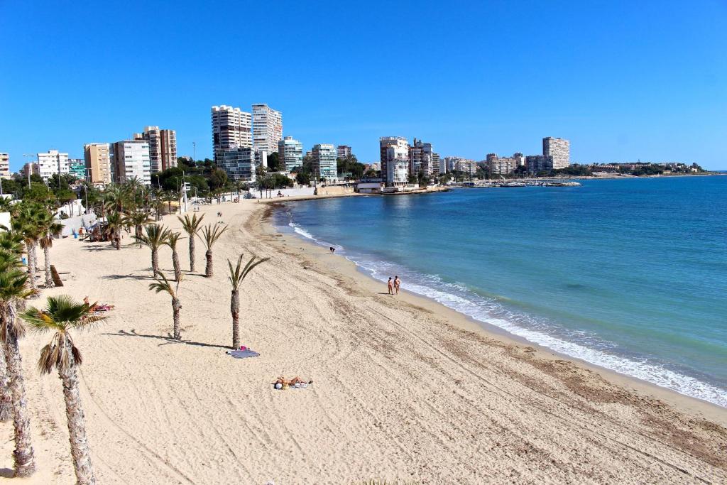 a beach with palm trees and a city in the background at Loft con vistas al Mar in Alicante