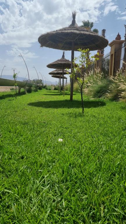 a large umbrella sitting in a field of grass at appartement 2 les oranges in Berkane