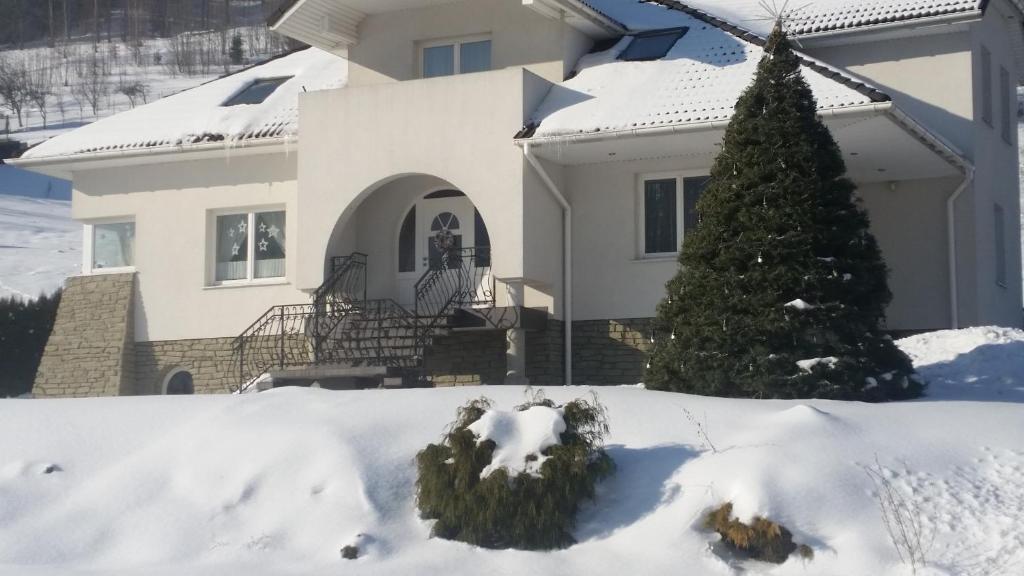 シュチルクにあるBiały Domekの雪中のクリスマスツリーのある家