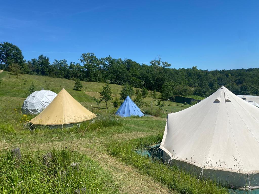 a group of tents in a grassy field at Igloo, Lodge et Tipi confortable in L Honor De Cos