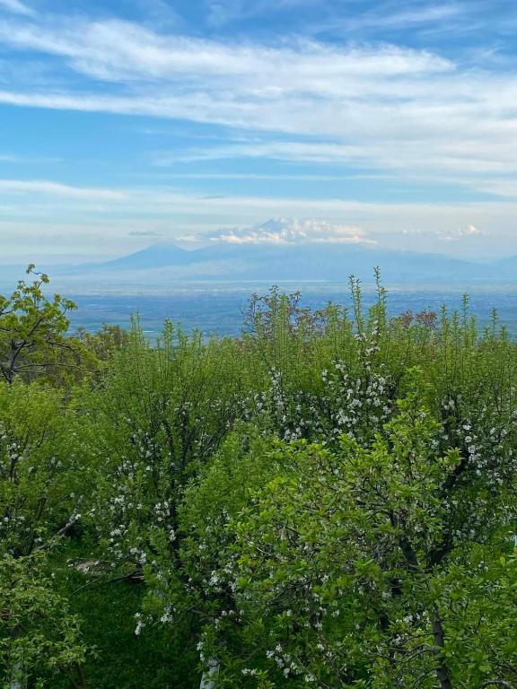 a view of a field of trees and flowers at Antarut Garden House in Antarut