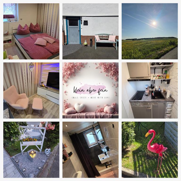 a collage of pictures with a flamingo in a room at klein aber fein in Freudenthal