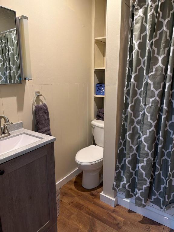 a bathroom with a toilet and a shower curtain at Canton River House in Canton