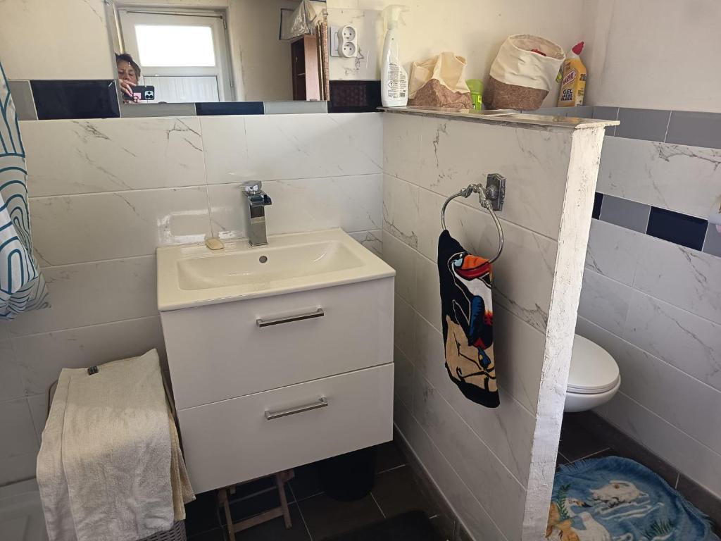 a bathroom with a sink and a toilet at Petit cocon in Laignes