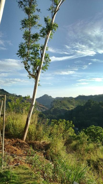 a tree on top of a hill with a view at Sky Frame cottage in Demodera