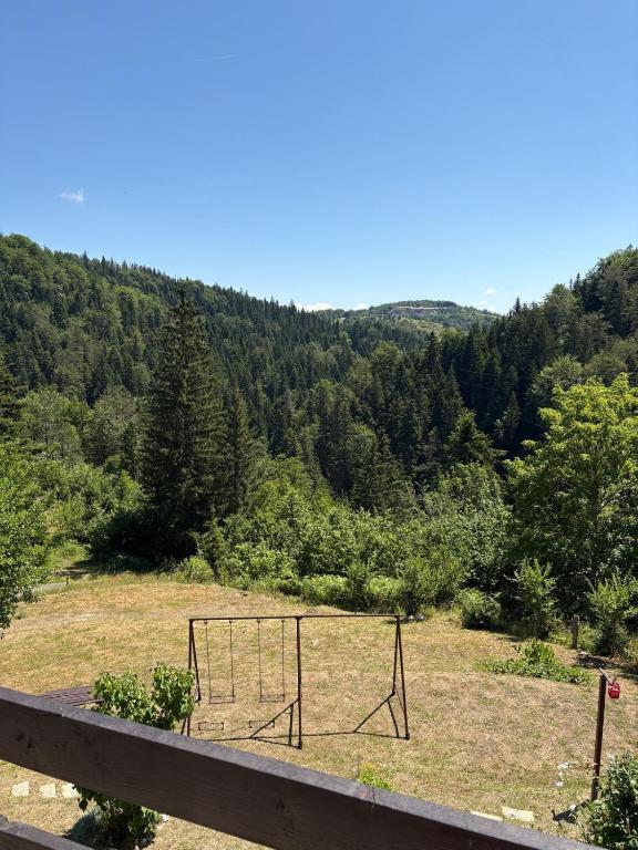 a basketball hoop in a field with a mountain at Apartmani Zelena jela in Šljivovica