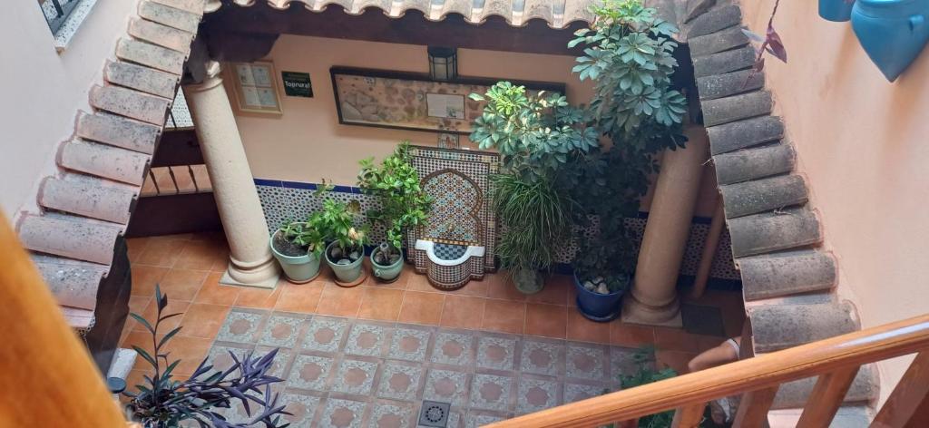 an overhead view of a balcony with potted plants at Toledo Magico in Toledo