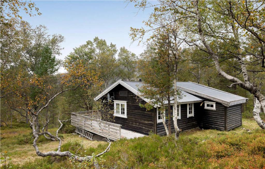 a small cabin in the middle of a forest at Åstin in Dirdal