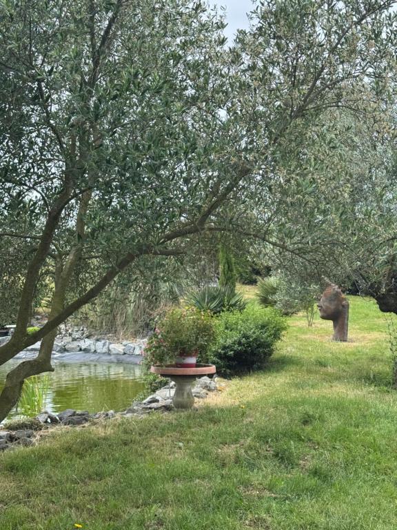 a bird bath sitting in the grass next to a pond at Maison L'étalonblanc in Tupin-et-Semons