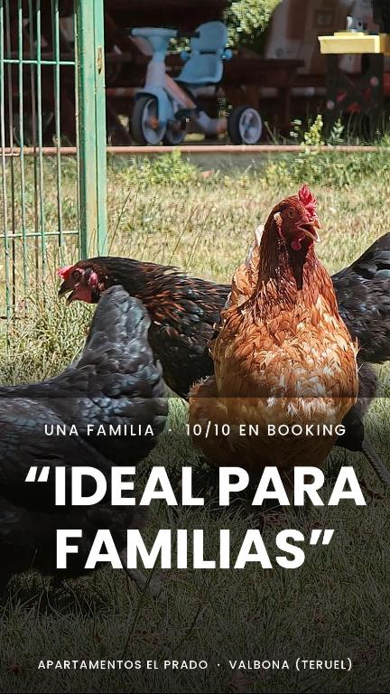 a book with a picture of a chicken in the grass at Apartamentos El Prado FAMILIAS in Valbona