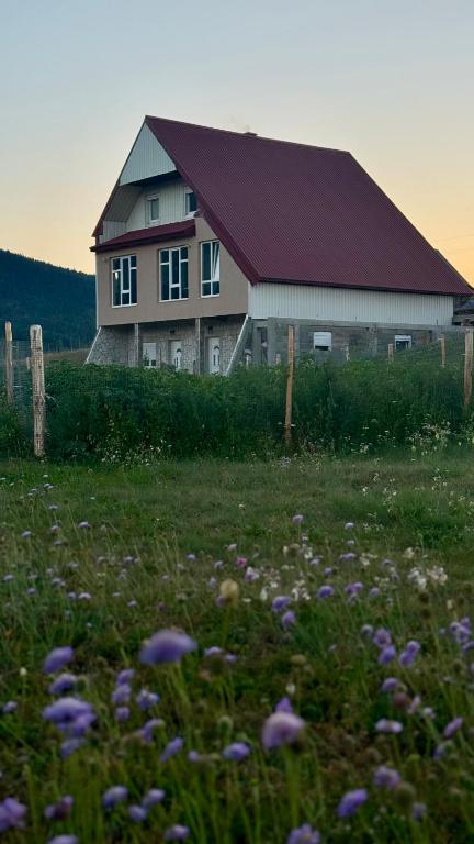 a barn with a field of flowers in front of it at A&A Durmitor Apartments in Žabljak