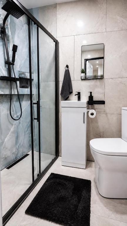 a bathroom with a shower and a toilet and a sink at The Studio Spot in Caerphilly