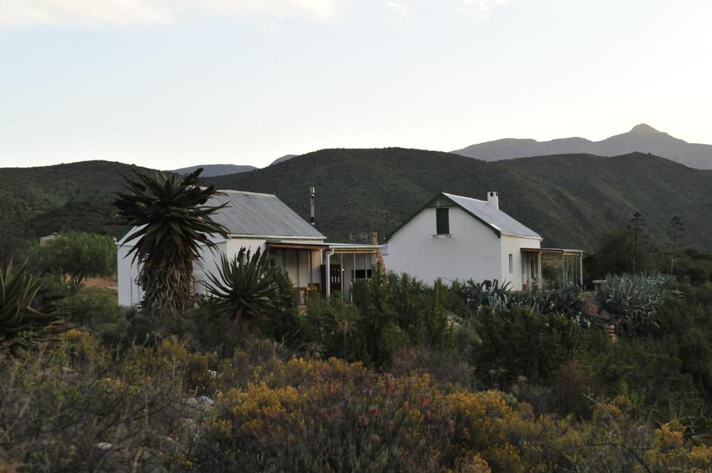 a white house with mountains in the background at Matjiesvlei Guestfarm in Calitzdorp