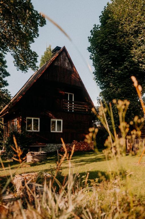a large wooden house with a tree in front of it at Chata u Karla in Rudná pod Pradědem