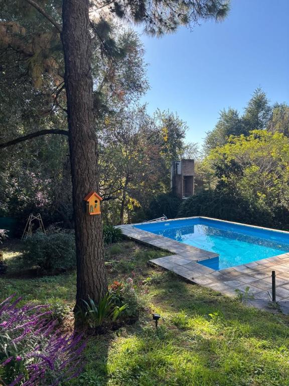 a bird house on a tree next to a swimming pool at Casa Colibrì Mendiolaza in Villa Allende