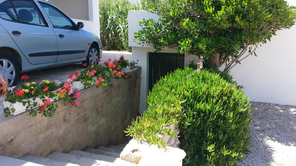 Zahrada ubytování Apartments Feniks
