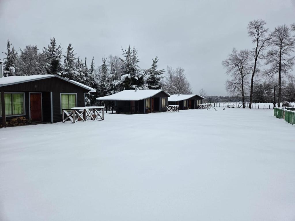 a snow covered yard with buildings and trees at Paraíso Rustico 3 in Curacautín