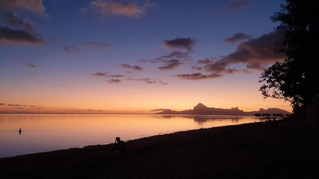 SCO Lodge - photo 10 - Tahiti, Polynésie