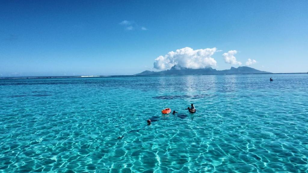 SCO Lodge - photo 9 - Tahiti, Polynésie