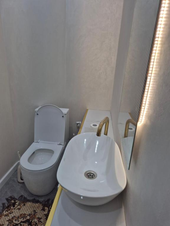 a small bathroom with a toilet and a sink at На Желтоксан in Taldykorgan