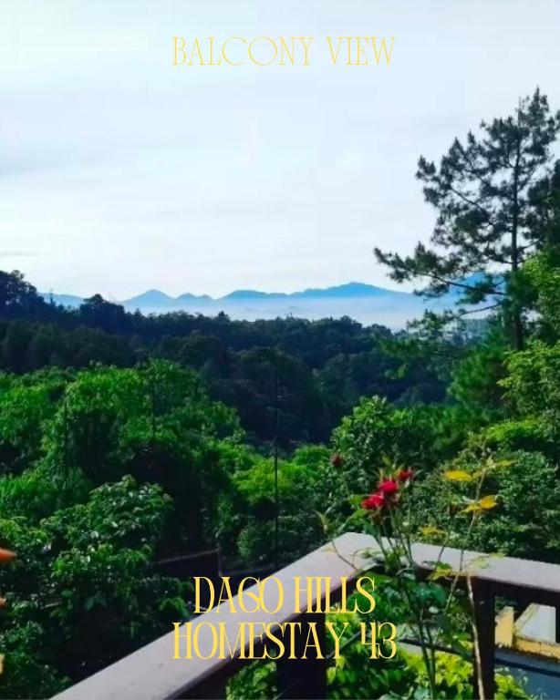 Dago Hills Homestay 43 Images