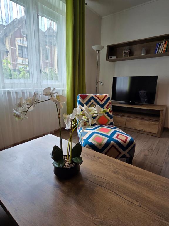 a living room with a table and a chair at Apartmán Wake u aquaparku in Česká Lípa