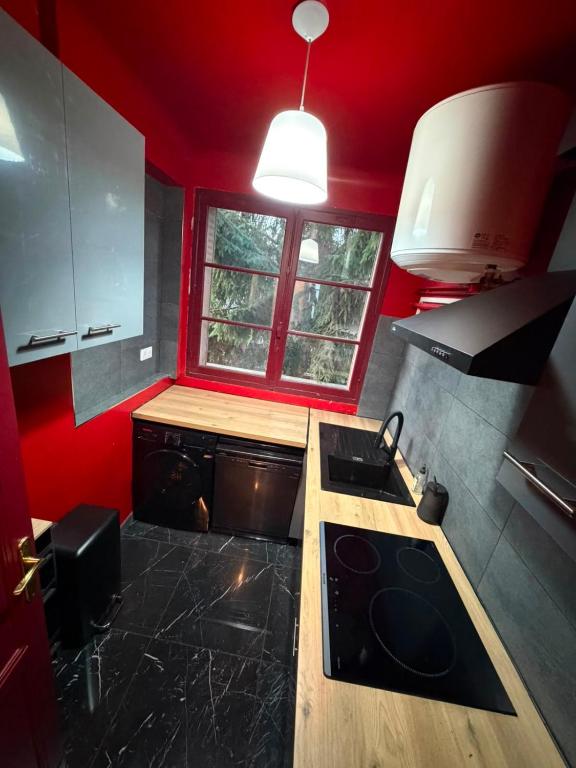 a small kitchen with a stove and a red wall at Le Ratna in Groslay