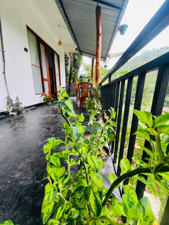 a porch of a house with green plants at Ella Hermitage View in Ella