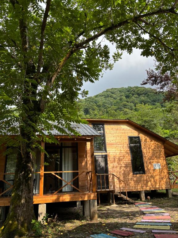 a cabin in the woods with a tree at Babitouli-2 in Niabauri