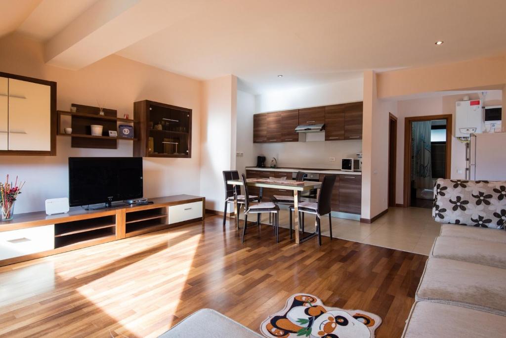 a living room with a couch and a table with a television at Sia Mountain Apartment in Predeal