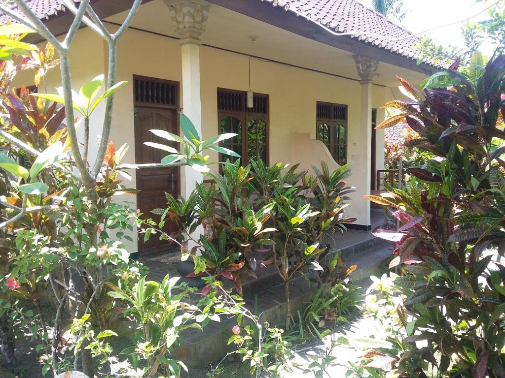 Zahrada ubytování Surya Homestay