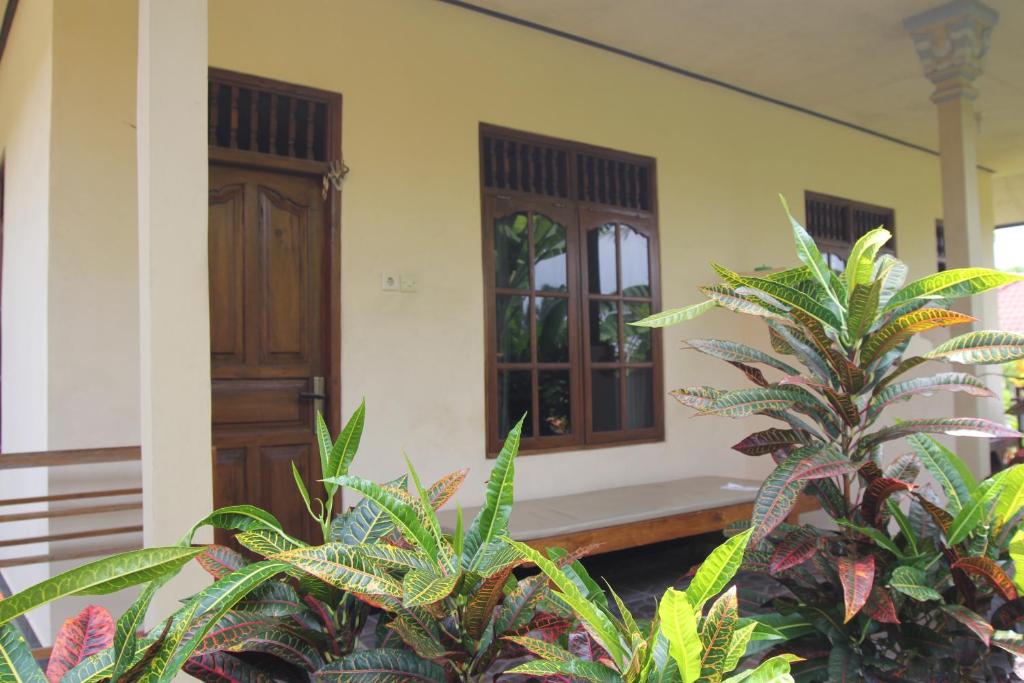 Zahrada ubytování Surya Homestay