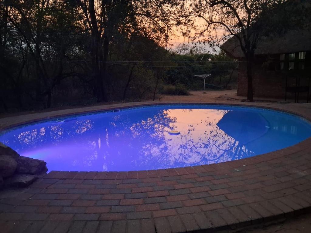 a blue swimming pool in a yard with a sunset at Bushveld Bliss in Marloth Park