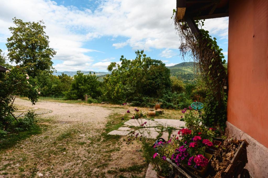 Appartement Cadichon – photo 29