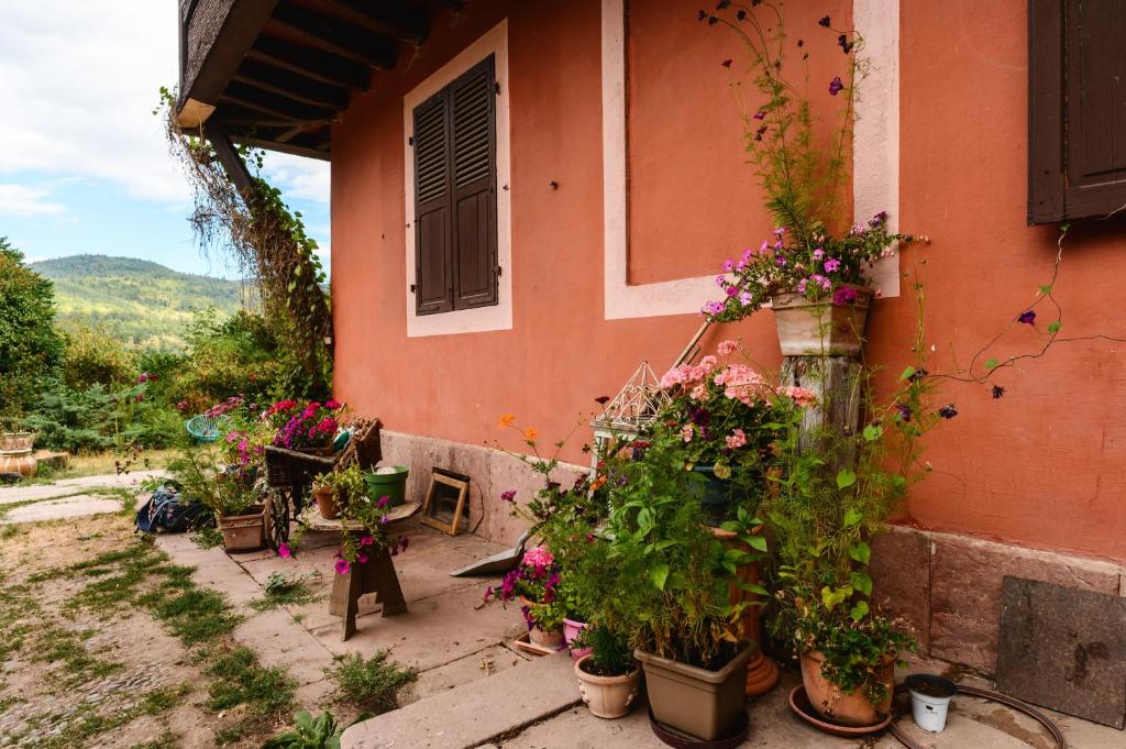 Appartement Cadichon – photo 28