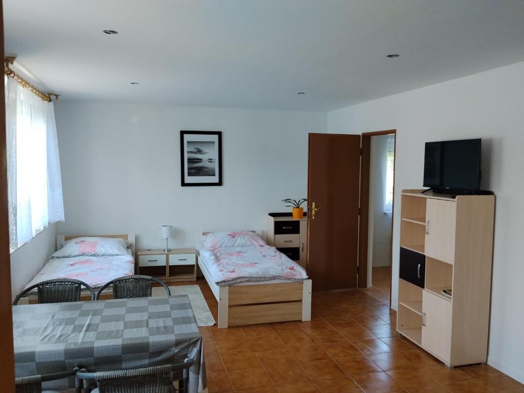 a room with two beds and a television in it at Apartmán in Doubravice