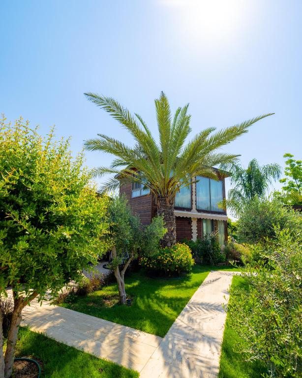 لابی و فضای عمومی Cirali Hestia Lodge - تصویر ۵