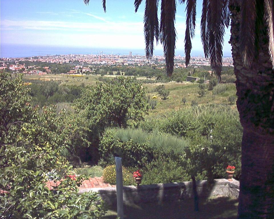 Príroda v okolí of the bed and breakfast