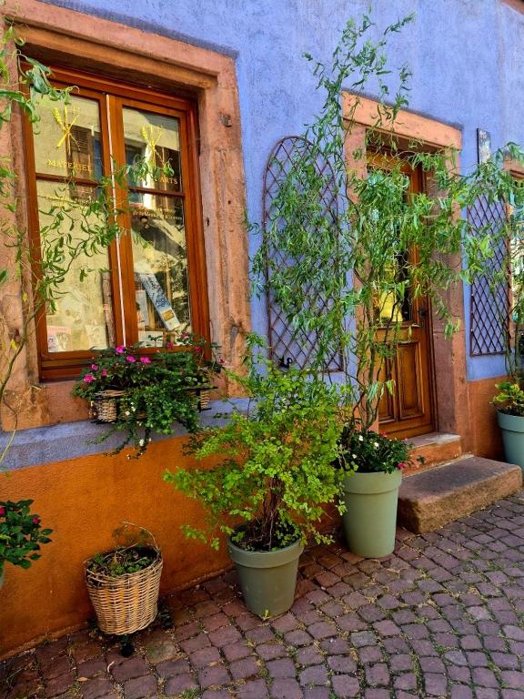 La Maison des Tanneurs – photo 55