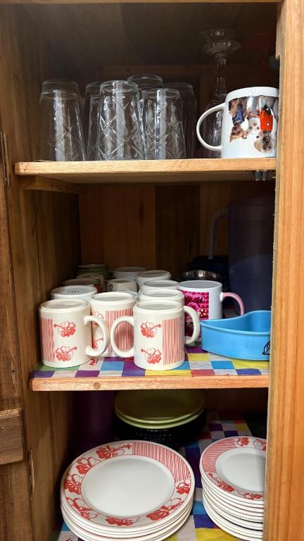 a shelf filled with plates and cups and dishes at Recanto Salto Ano Bom in Corupá
