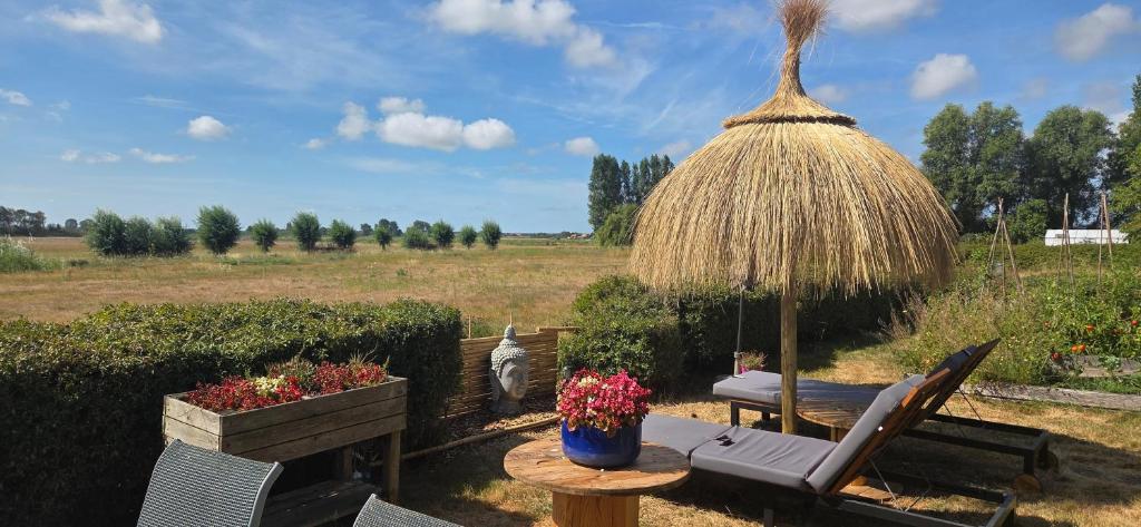 a patio with a chair and a table with flowers at De luxe overkapping in Middelburg