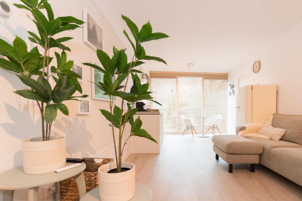 a living room with two potted plants and a couch at Studio Loet in Schagen