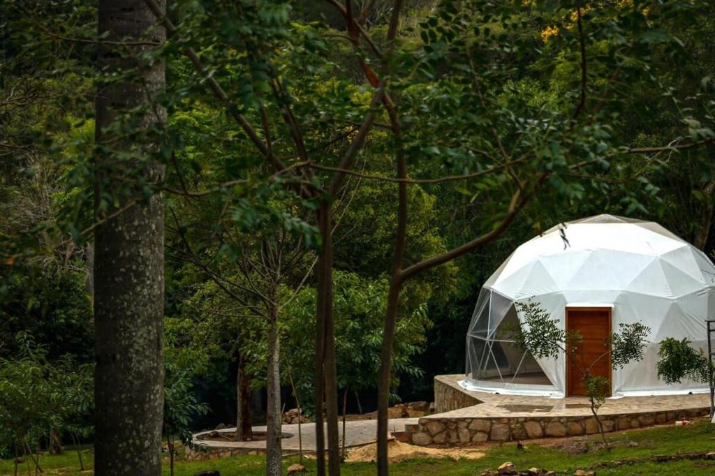 a white dome tent with a wooden door in a forest at Private Dome Relax in Nature in San Bernardino